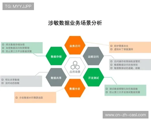 数据驱动决策机制嵌入制播流程 提升运营精准度与响应速度