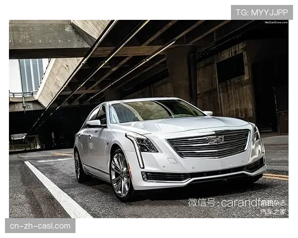 五棵松凯迪拉克中心启用全新环绕式LED屏,播放虚拟吉祥物互动画面 五棵松凯迪拉克中心启用全新环绕式LED屏,播放虚拟吉祥物互动画面